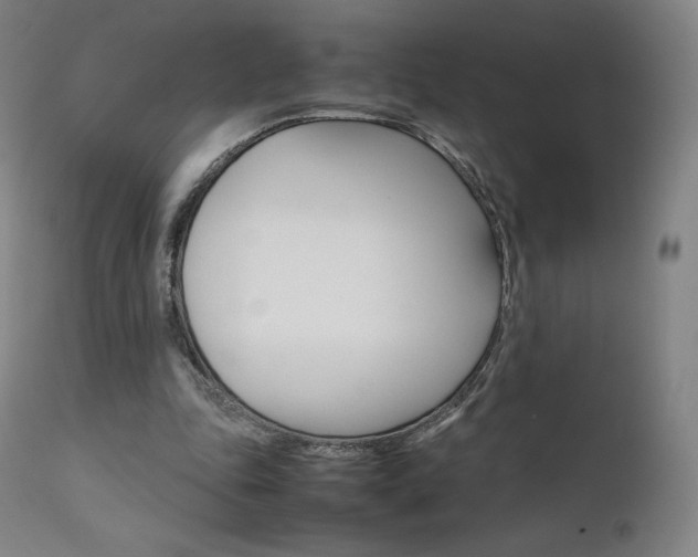 X0000111630343200907171134