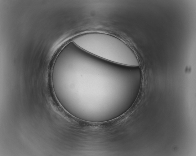 X0000111630344200907171134