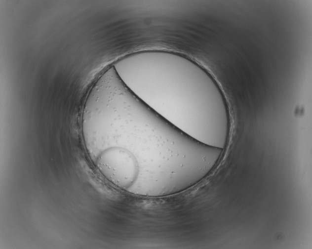 X0000111630345200907171134
