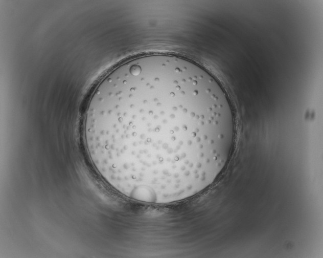 X0000111630346200907171134