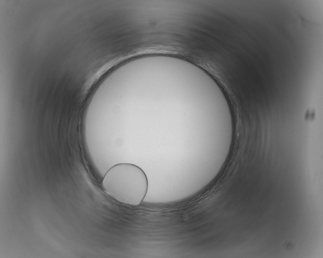 X0000111630348200907171134