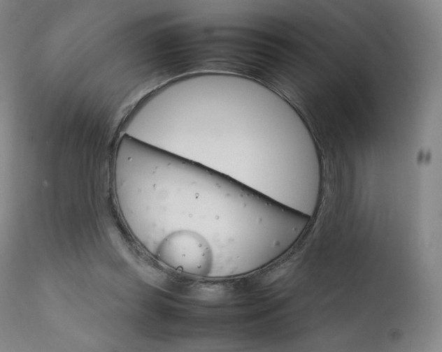 X0000111630349200907171134