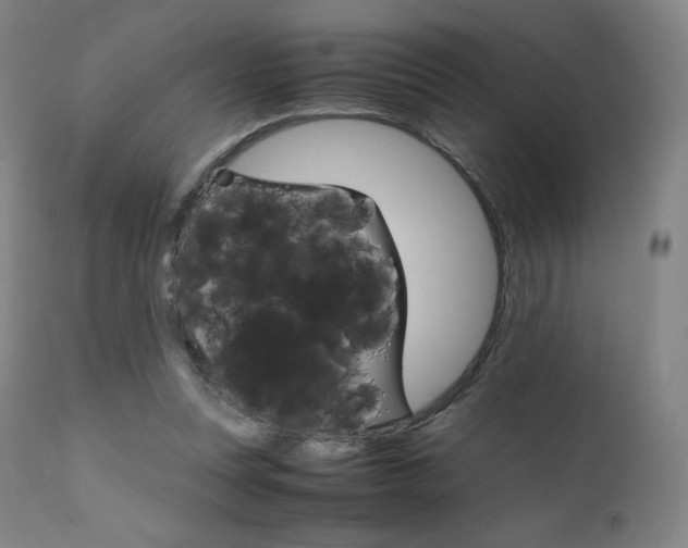 X0000111630351200907171134
