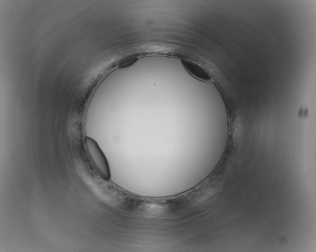 X0000111630352200907171134