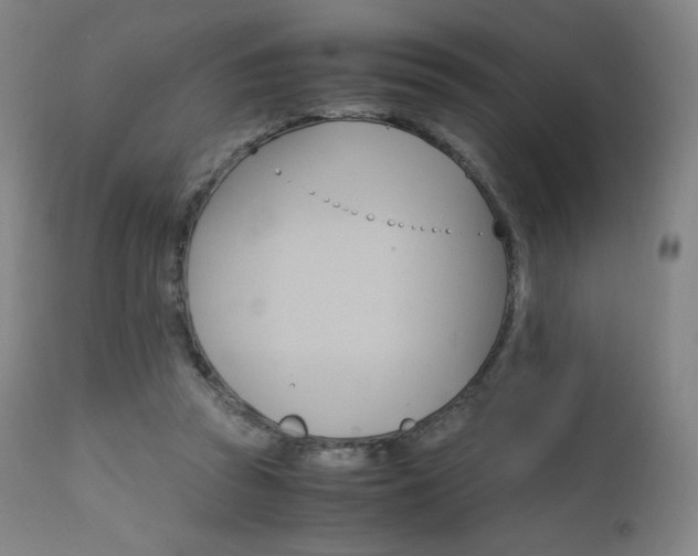 X0000111630353200907171134