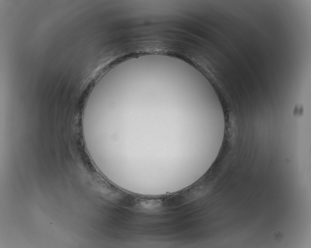 X0000111630355200907171134