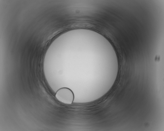 X0000111630356200907171134