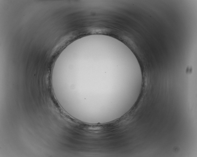 X0000111630357200907171134