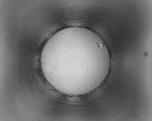 X0000111630359200907171134