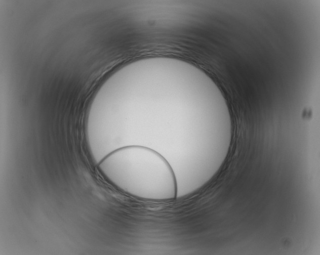 X0000111630360200907171134