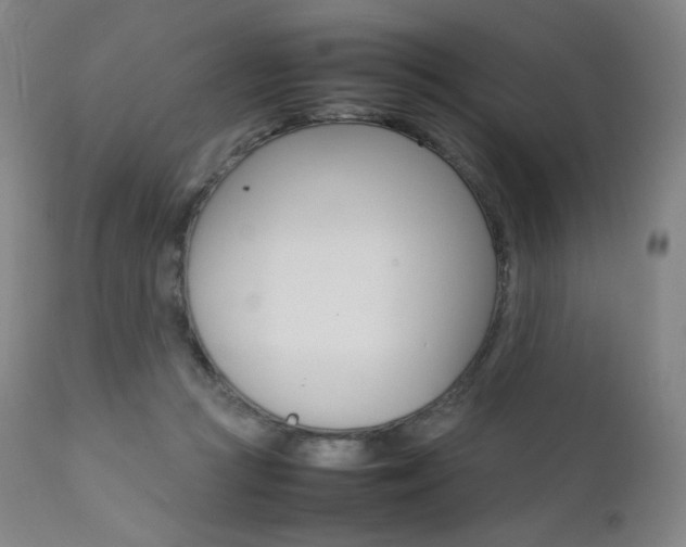 X0000111630361200907171135