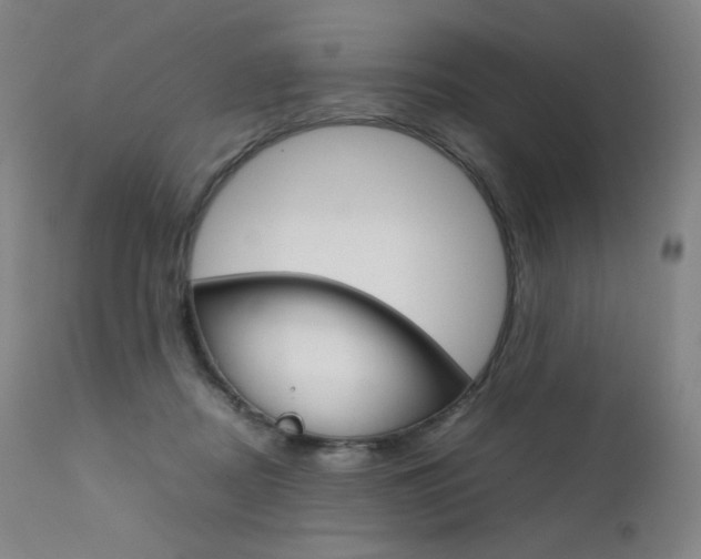 X0000111630362200907171135