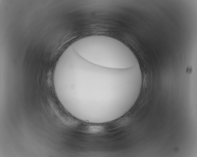 X0000111630363200907171135