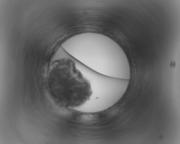 X0000111630367200907171135