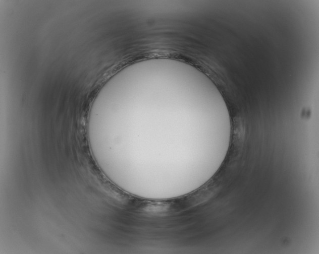 X0000111630369200907171135
