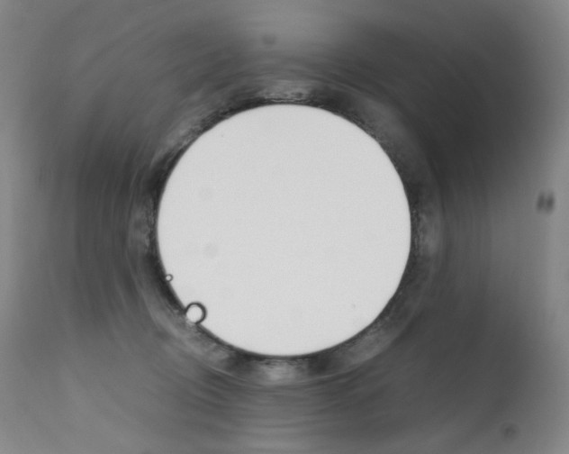 X0000111630370200907171135