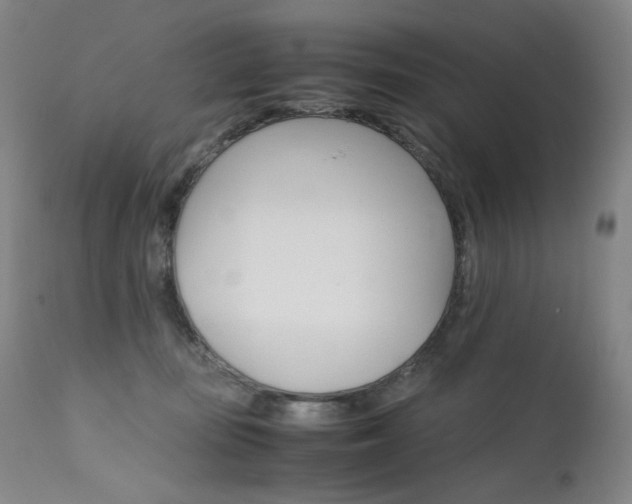 X0000111630371200907171135