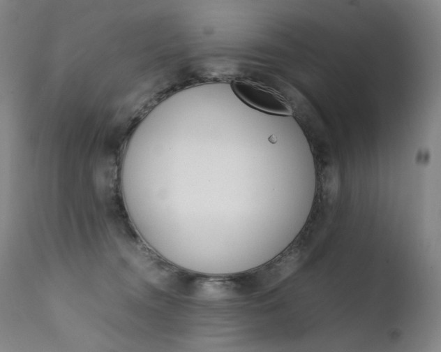 X0000111630372200907171135