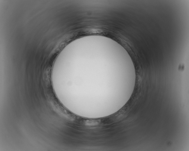 X0000111630373200907171135
