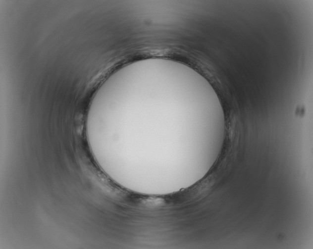 X0000111630374200907171135
