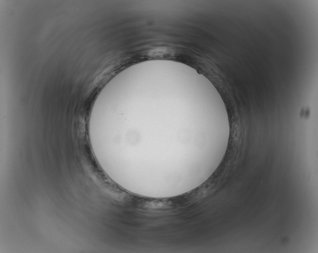 X0000111630375200907171135