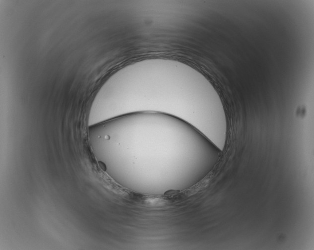 X0000111630376200907171135