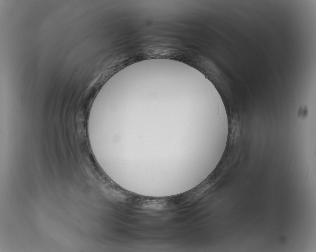 X0000111630377200907171135