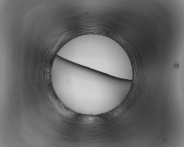 X0000111630379200907171135