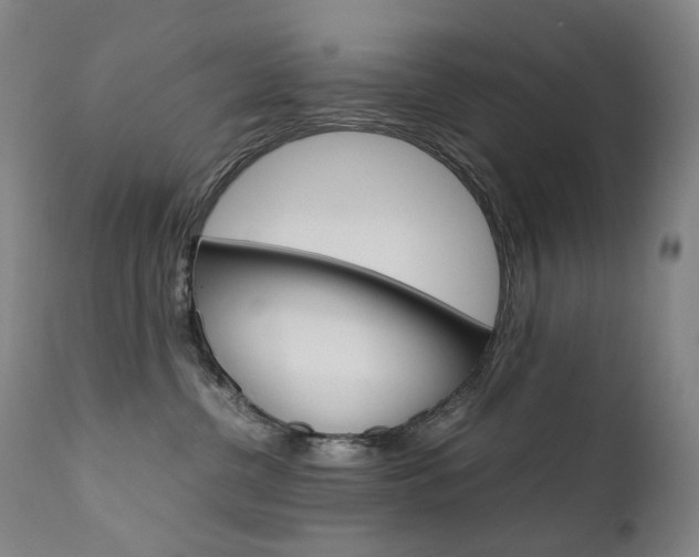X0000111630380200907171135