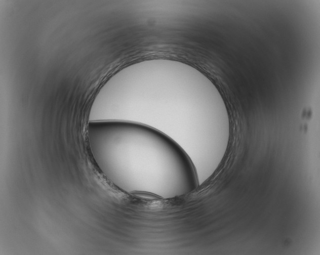 X0000111630382200907171135