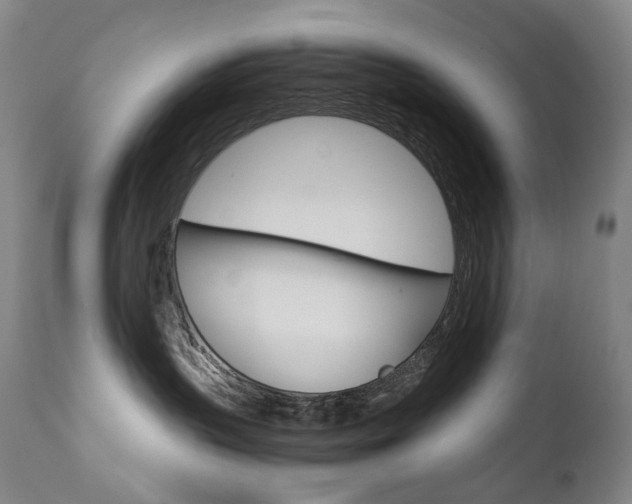 X0000111630383200907171135