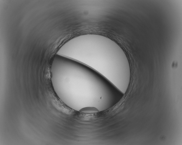 X0000111630384200907171135