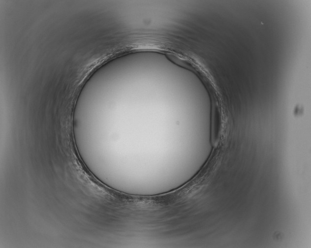 X0000111630385200907171134