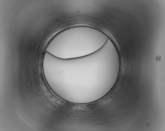 X0000111630386200907171134