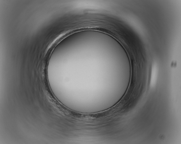 X0000111630387200907171134