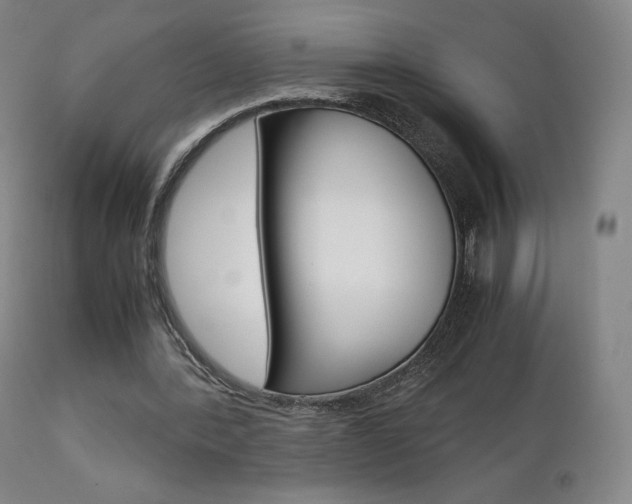 X0000111630388200907171134