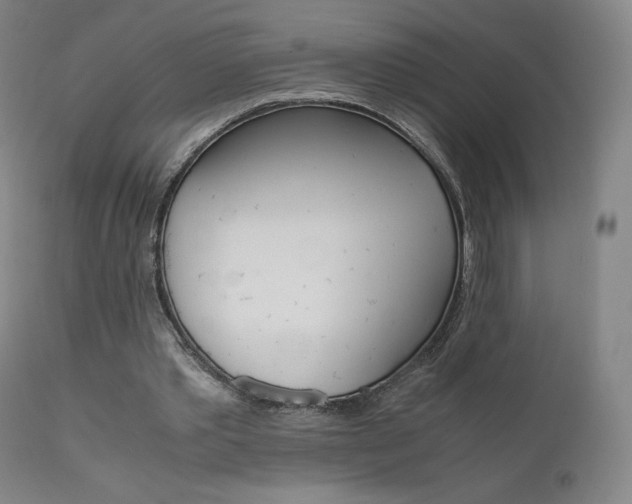 X0000111630389200907171134