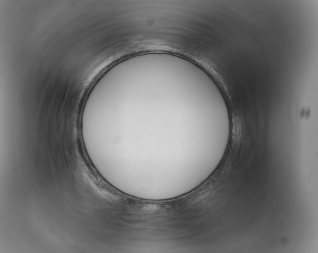 X0000111630390200907171134