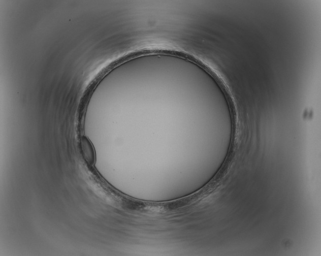 X0000111630391200907171134