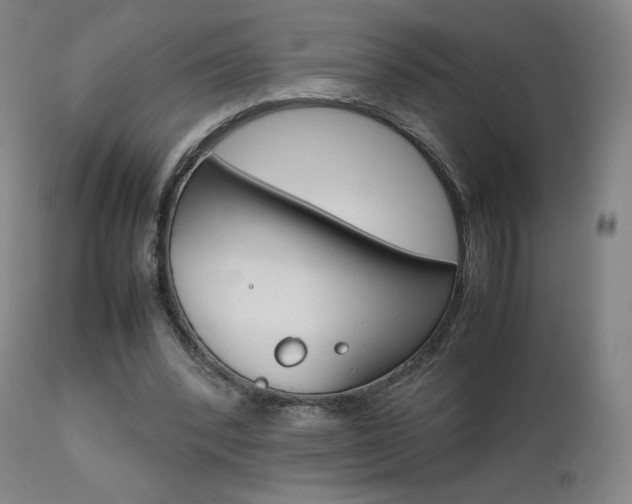 X0000111630392200907171134