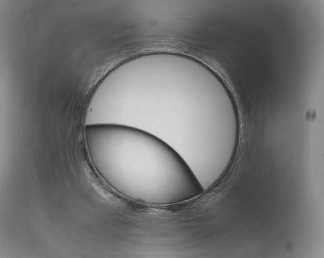 X0000111630393200907171134