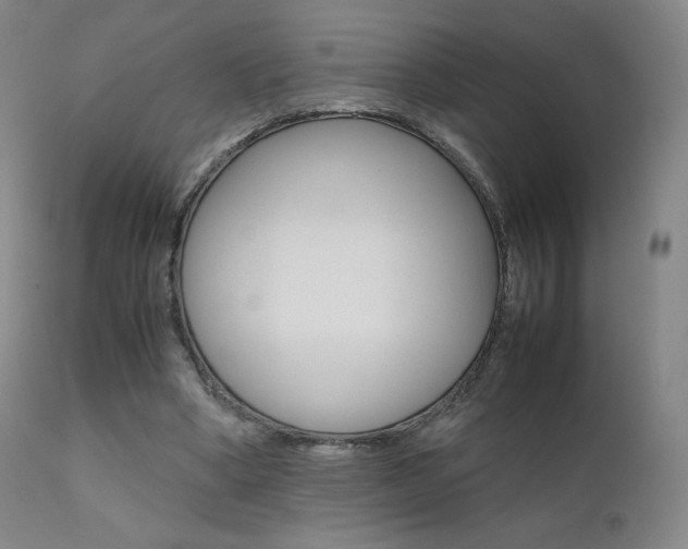 X0000111630394200907171134