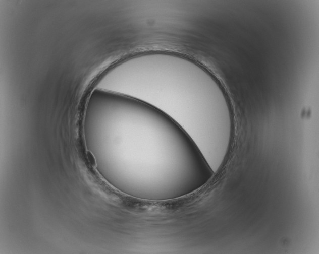 X0000111630395200907171134