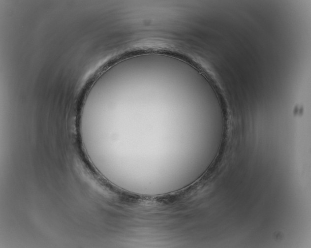 X0000111630399200907171134