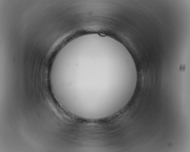X0000111630400200907171134