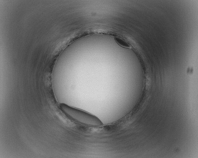 X0000111630401200907171134