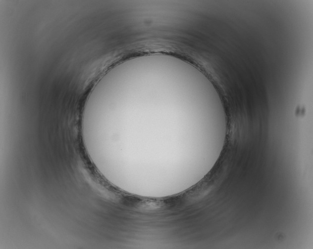 X0000111630402200907171134