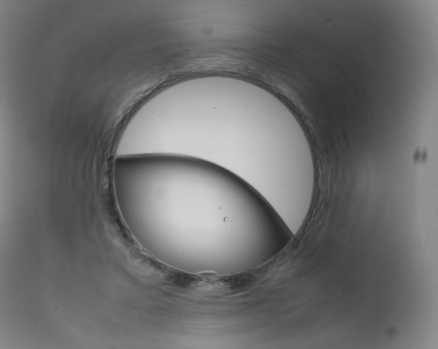 X0000111630403200907171134