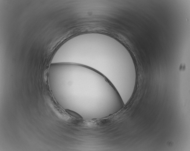 X0000111630405200907171134