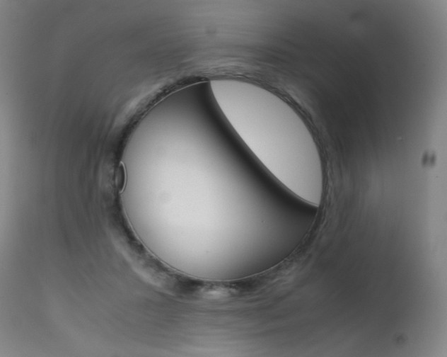 X0000111630407200907171134